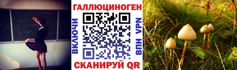 наркота  Демидов  Галлюциногенные грибы мицелий 
